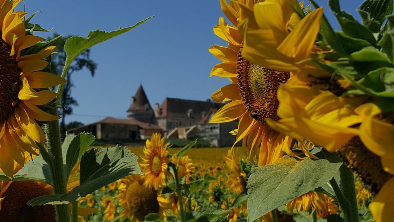 Lussas-et-Nontronneau Lpc Dordogne Holidays - Le Petit Coin מראה חיצוני תמונה