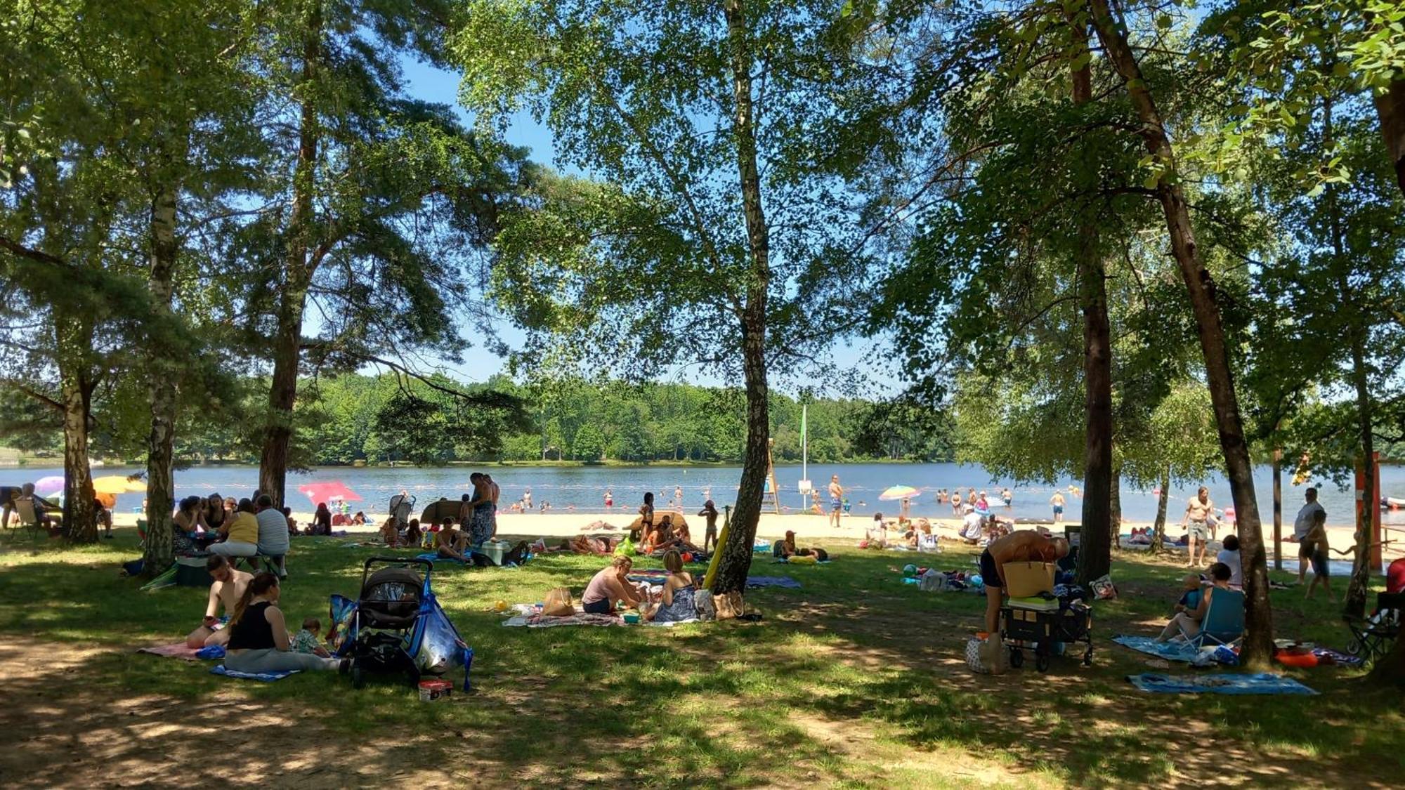 Lussas-et-Nontronneau Lpc Dordogne Holidays - Le Petit Coin מראה חיצוני תמונה